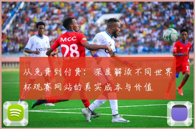 从免费到付费:深度解读不同世界杯观赛网站的真实成本与价值