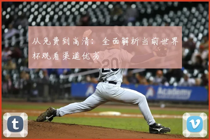 从免费到高清:全面解析当前世界杯观看渠道优劣