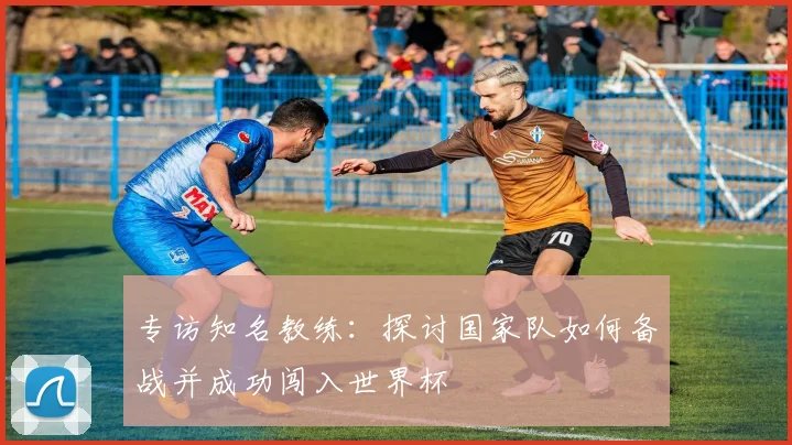 专访知名教练:探讨国家队如何备战并成功闯入世界杯