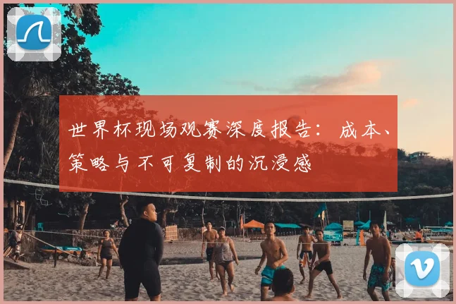 世界杯现场观赛深度报告:成本、策略与不可复制的沉浸感