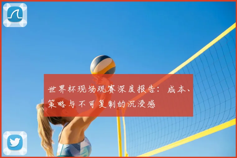 世界杯现场观赛深度报告:成本、策略与不可复制的沉浸感