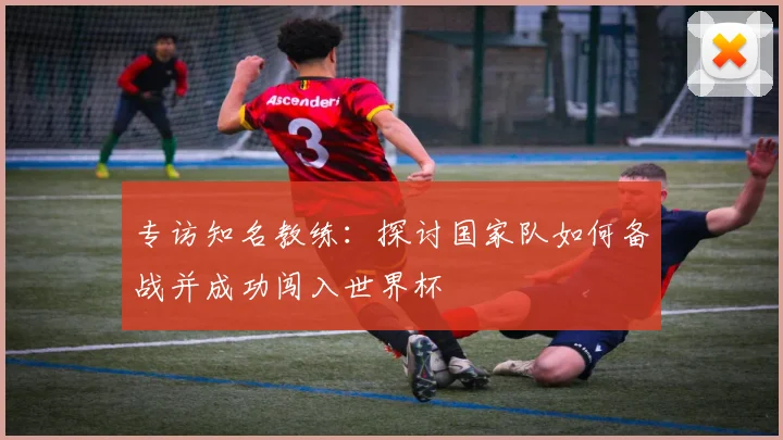 专访知名教练:探讨国家队如何备战并成功闯入世界杯